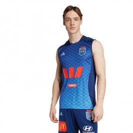 2025 NSW Blues Men's Training Singlet