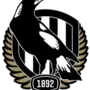 Collingwood Magpies