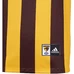 2020 Hawthorn Hawks Mens Home Guernsey