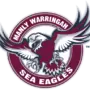 Sea Eagles