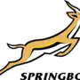 Springbok